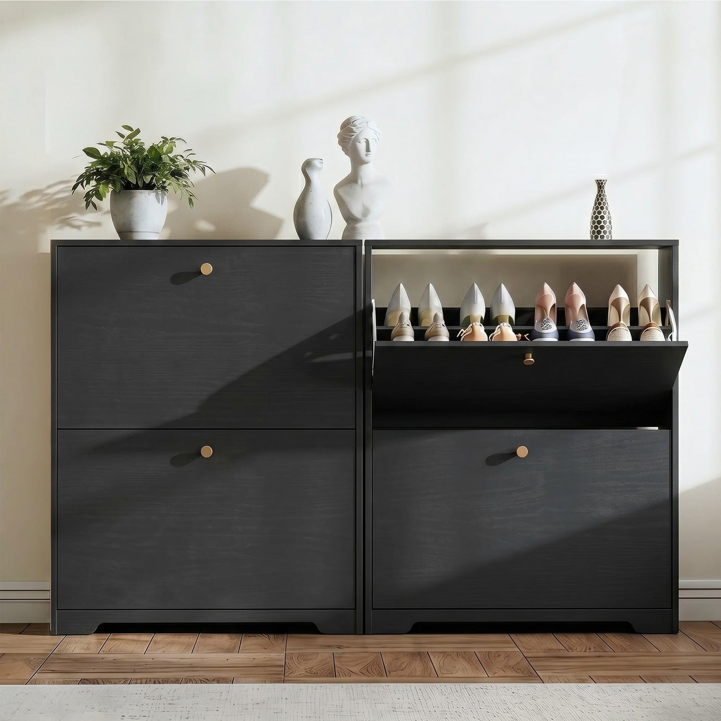Nicetree Shoe Cabinet with 2 Flip Drawers, Entryway Shoes Organizer, Black