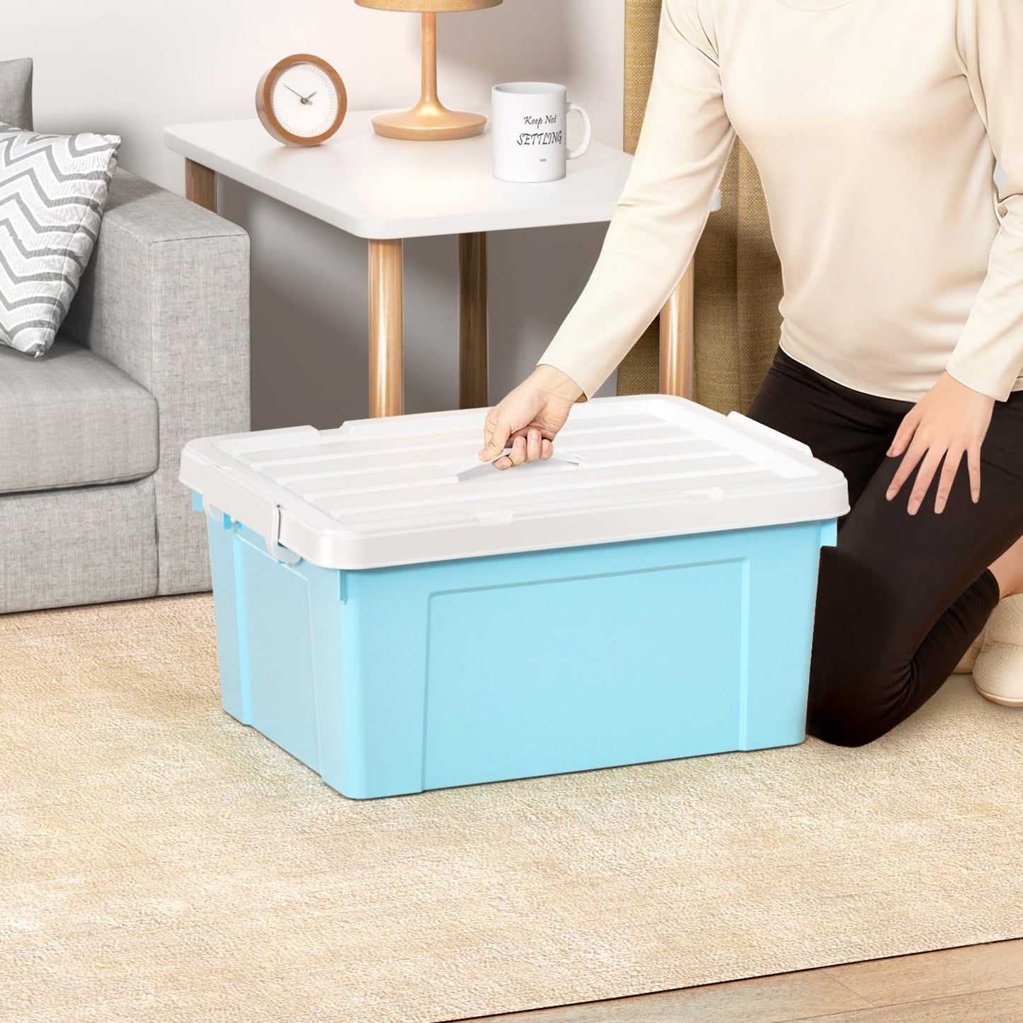 Cetomo Lidded Storage Bin with Handle, Tote Organizing Container with Durable Lid and Secure