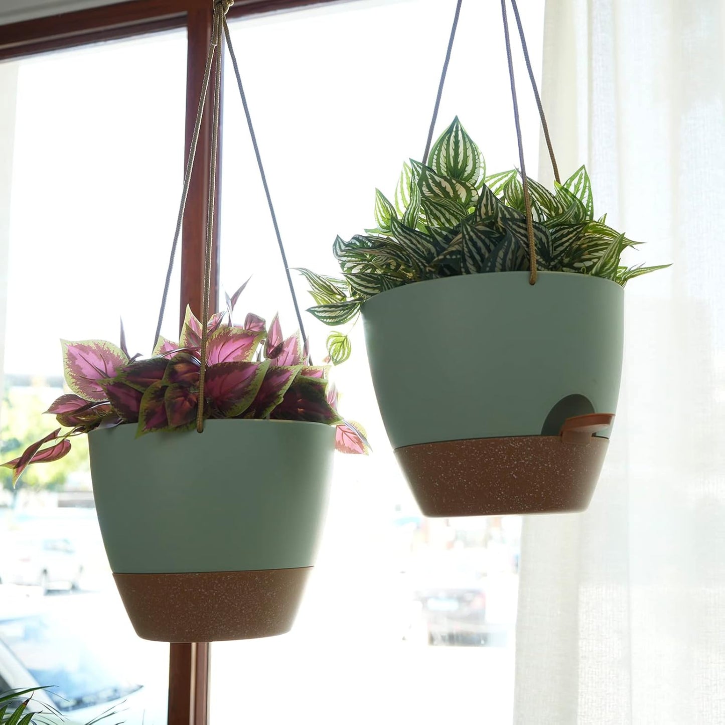 8 inch Hanging Planters, 2 Pack Self Watering Hanging Pots with 20oZ Deep Reservoir for Indoor
