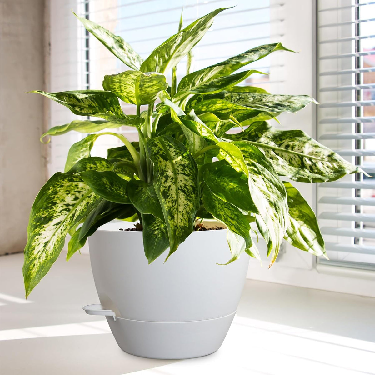 10/9/8 inch Medium Self Watering Pots, Plant Pots with Mesh Drainage Holes for Indoor Outdoor