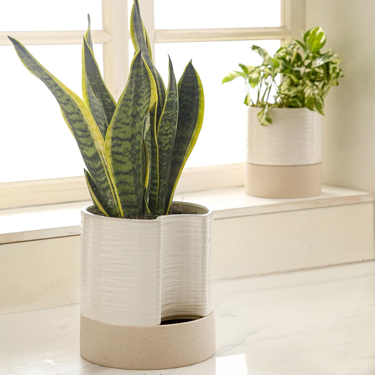 Nihow Self Watering Plant Pot: 8 Inch Ceramic Planter with Drainage Hole & Water Storage Plus for