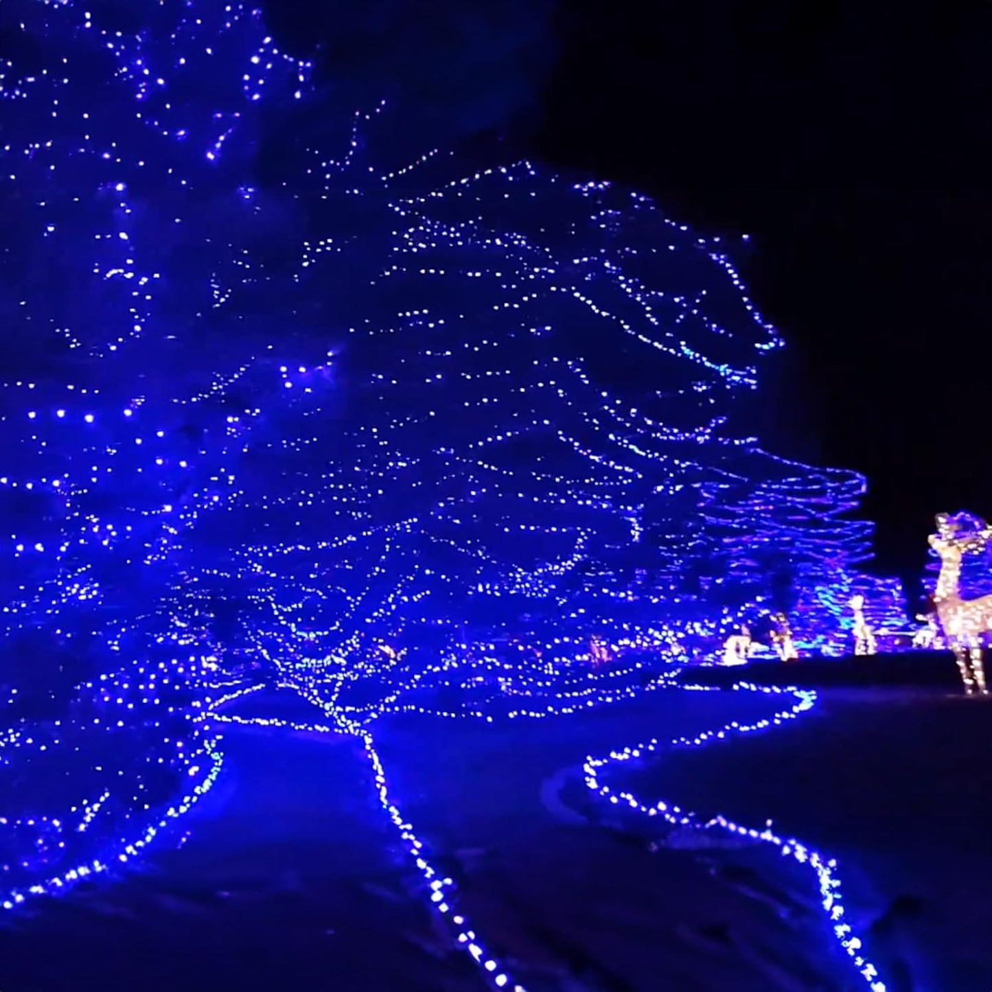 Dazzle Bright Outdoor Christmas String Lights, 1000 LED 328 FT Plug in Fairy Light with Remote
