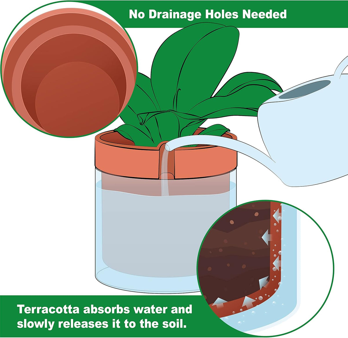 Phoenix Vine 10 Inch Self Watering Planter Pot, Terracotta Clay Pot with Glass Reservoir for Indoor