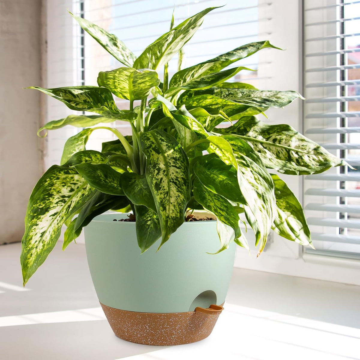 Big Self Watering Pots 12/10/9 inch, Planter, Plant Pots with Mesh Drainage Holes for Indoor