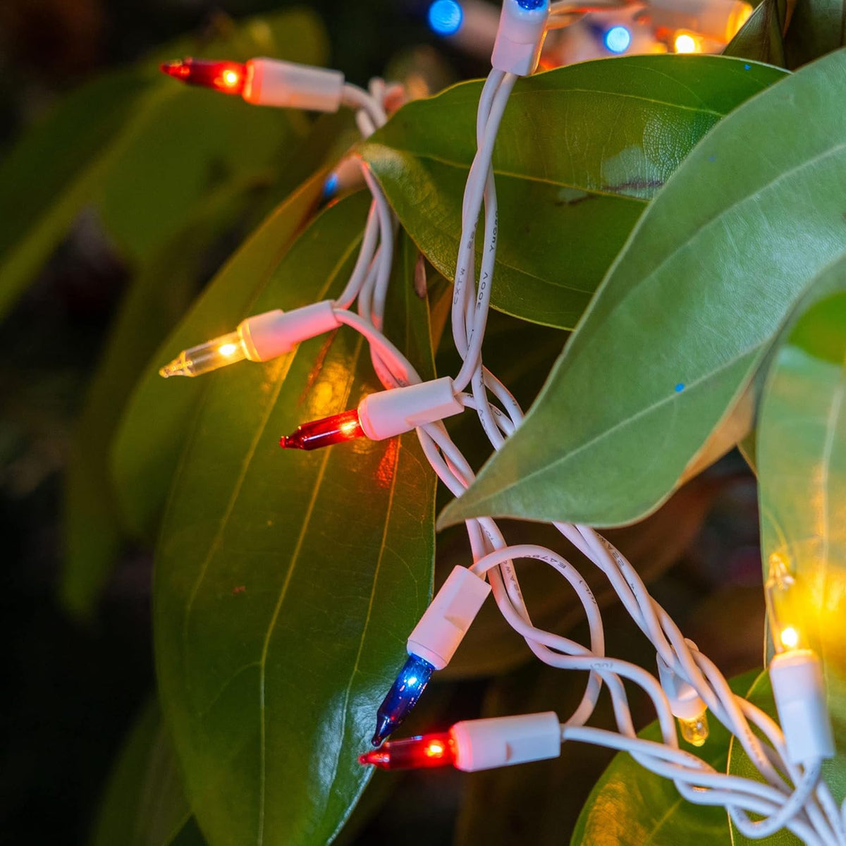 Dazzle Bright 4th of July Lights, 20FT 100 Count Independence Day Mini String Lights Plug in
