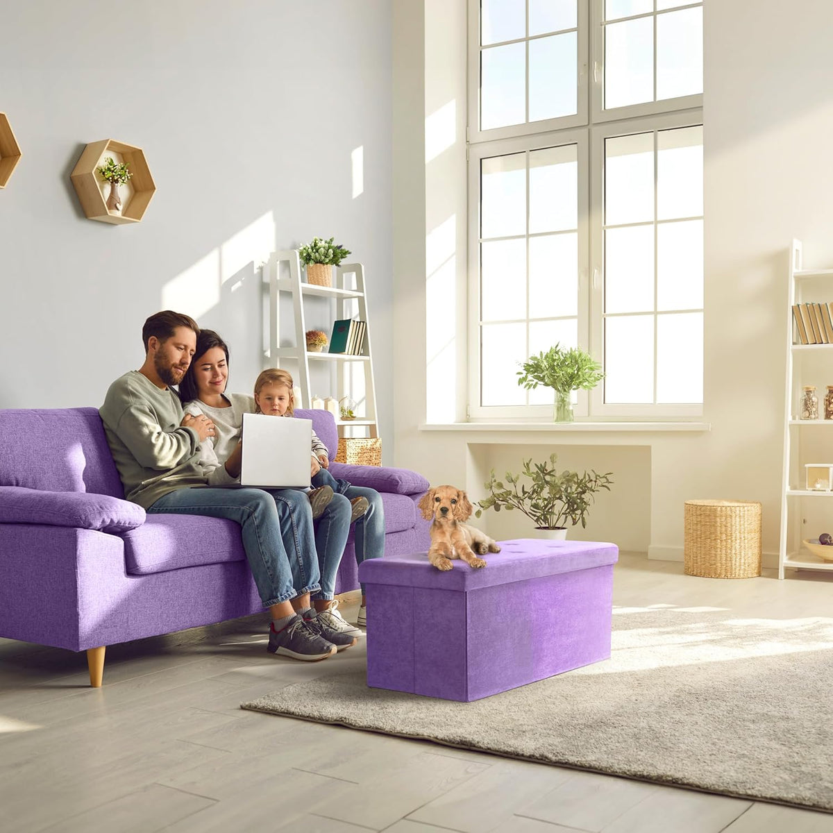 Sorbus Storage Ottoman Bench – Collapsible/Folding Bench Chest with Cover – Perfect Toy and Shoe