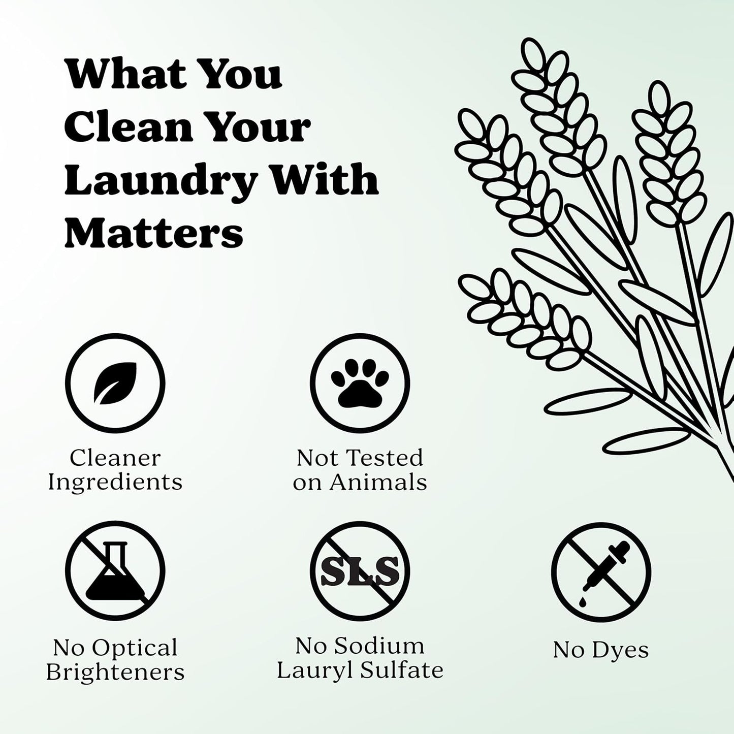 Pronounce Laundry Detergent Powder Alternative | Non-Toxic, Eco-Friendly, Natural for Sensitive