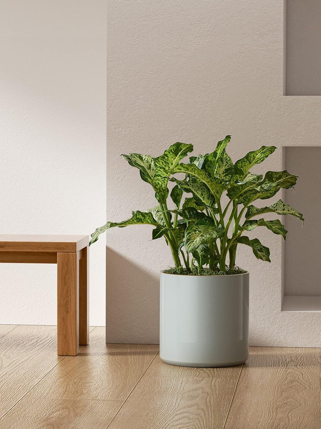 LE TAUCI 12 Inch Pots for Plants, Ceramic Large Plant Pot for Indoor Plants, Mid-Century Modern