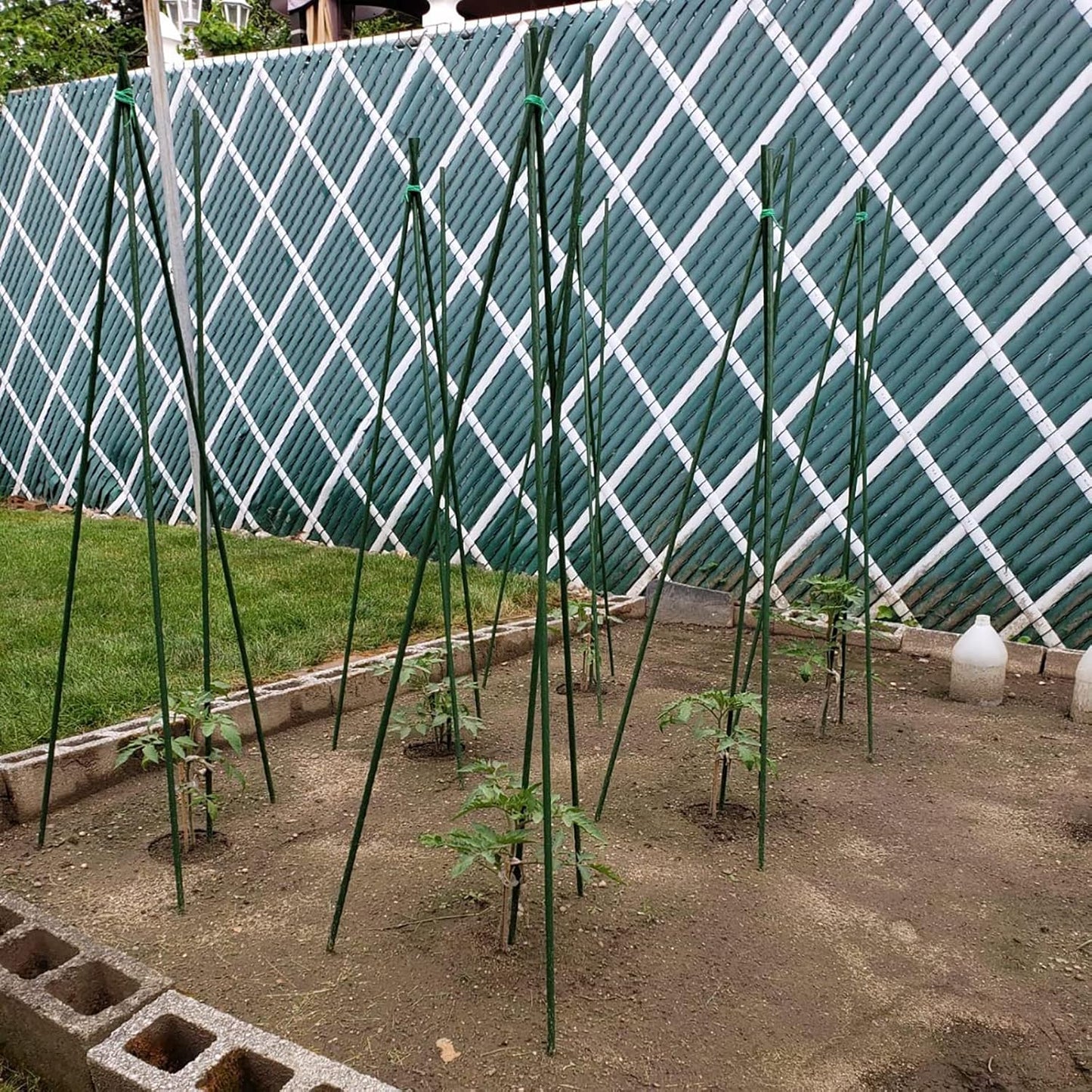 Garden Plant Stakes 57 Inch (Approx 5Ft) Steel Plant Stick Support, 25 Pack Tomato Stakes for