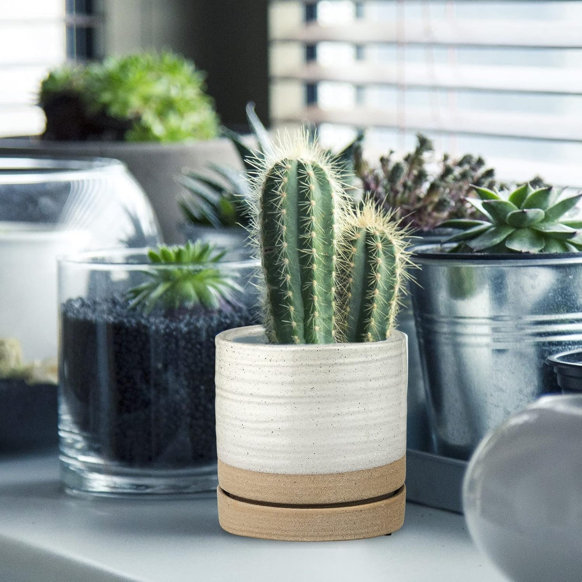 6 Inch Plant Pots, Ceramic Planter Pot with Drainage Hole & Saucer, Indoor/Outdoor Cylinder Round