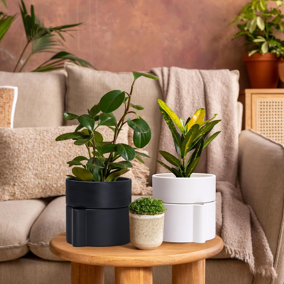 Phoenix Vine 8 Inch Self-Watering Planter Pot with Terracotta Insert, Deep Water Reservoir, and