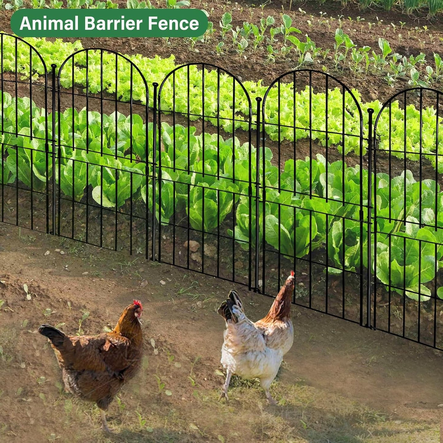 Decorative Garden Fence 31in (H) x10ft (L), 10 Pack No Dig Fence Animal Barrier for Dog, Arched