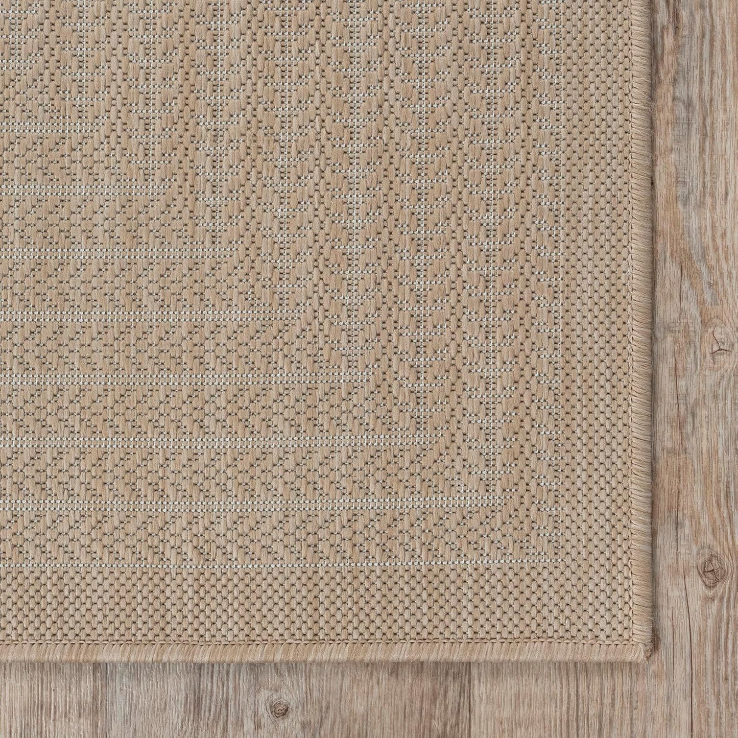 Adiva Rugs Outdoor Indoor Area Rug, Weather Resistant, Easy to Clean, Stain Resistant Floor Mat for