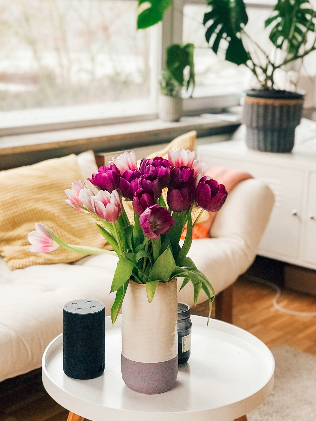 Best Home Decor Products You Didn’t Know You Needed