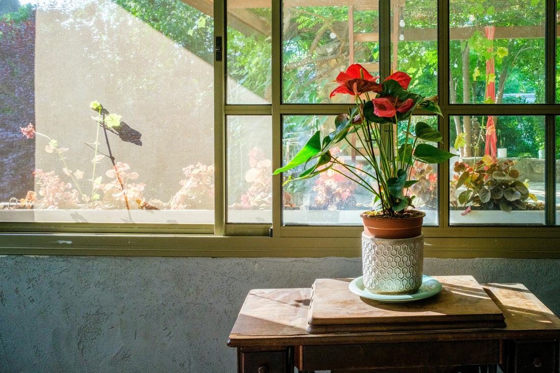 Spring Lighting Ideas: Natural Glow & Warm Evenings