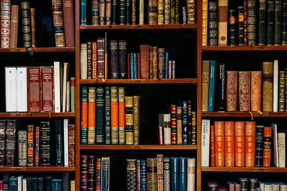 Bookcase Buying Guide: Open Shelves vs. Cabinet Doors