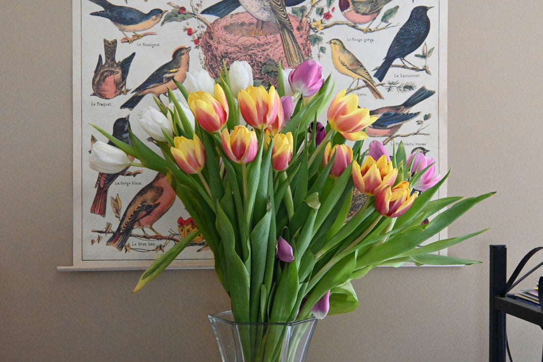 Top 10 Home Essentials for a Better Living Space
