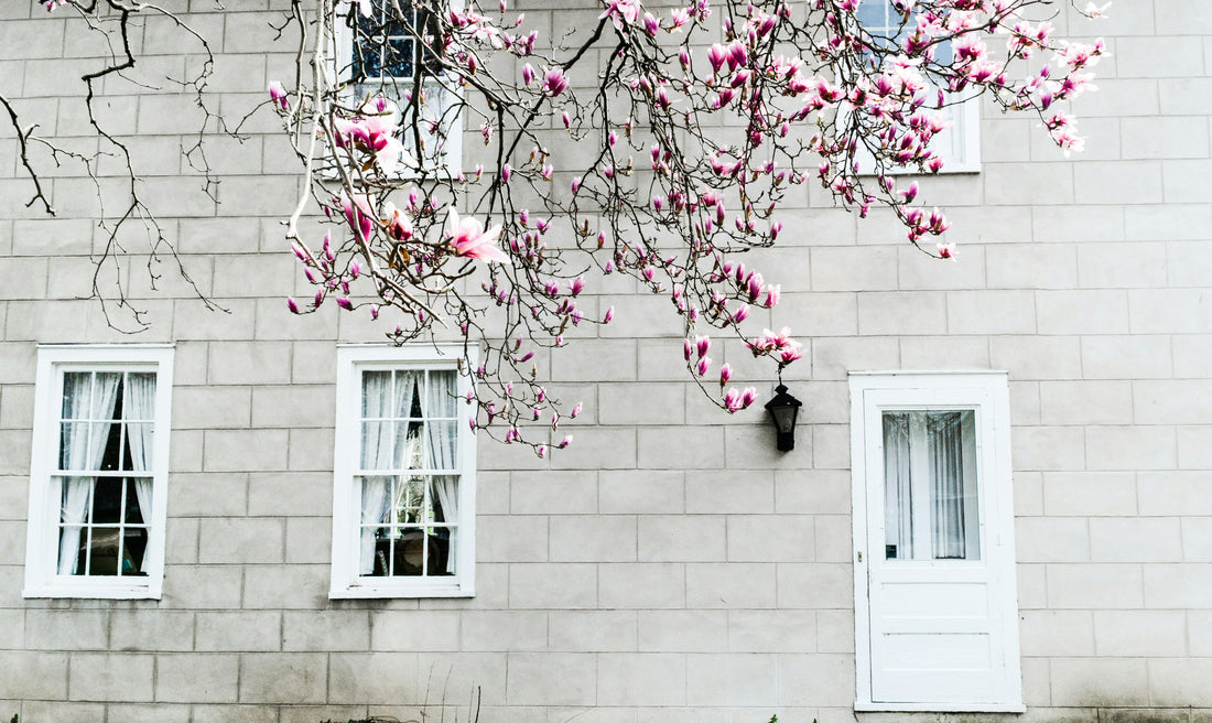 10 Easy Ways to Brighten Your Living Room This Spring