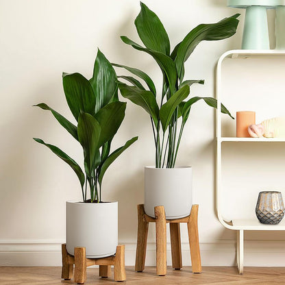 Modern 12 Inch Plant Pot with Drainage Hole & Saucer – Indoor Outdoor White Planter, Lightweight