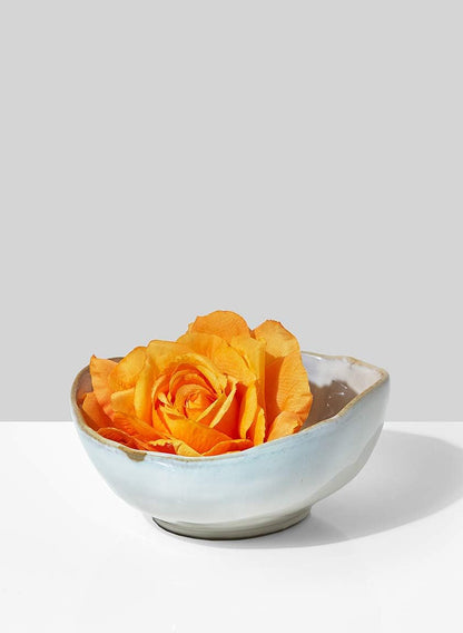 Serene Spaces Living Large Free-Form Edge Glazed Ceramic Bowl, Set of 4, Centerpiece for Vintage