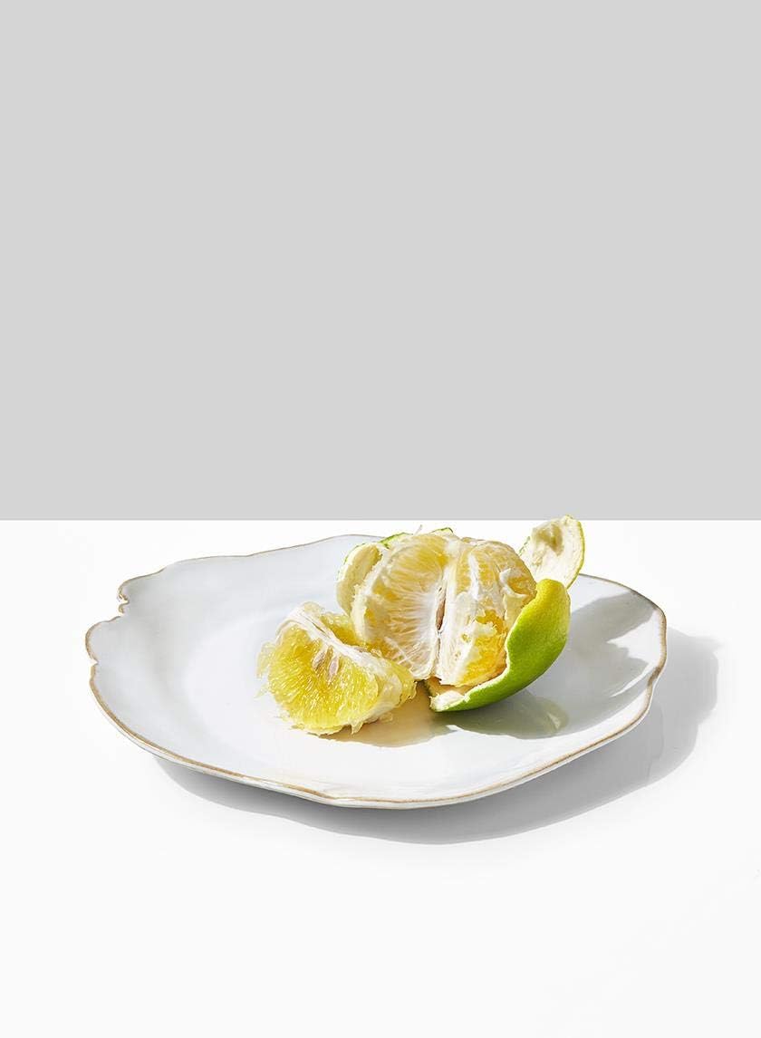 Serene Spaces Living Set of 2 Medium Free-Form Edge Glazed Ceramic Plate- Dinnerware for Vintage