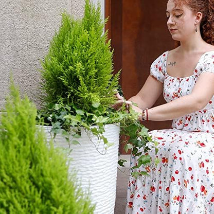 Worth Garden 2-Pack 21" H. White Tall Planters - 14'' Dia Resin Large Round Flower Pots for Outdoor