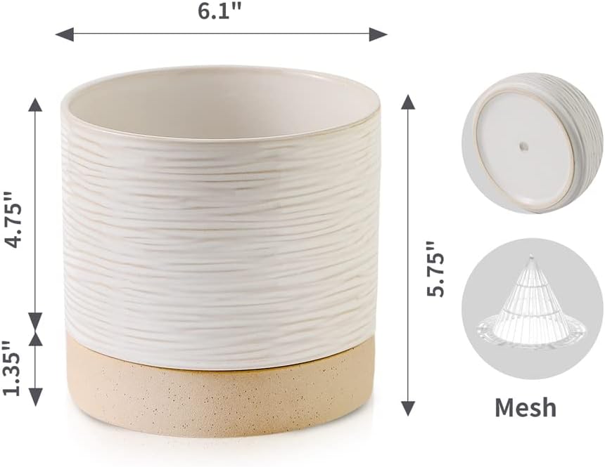 Nihow Ceramic Plant Pot: 6 Inch Planter with Drainage Hole & Saucer for Indoor & Outdoor Plants