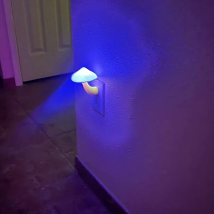AUSAYE 3Pack Sensor LED Night Light Plug in Lamp Magic Mushroom Nightlight Cute Night Lights for
