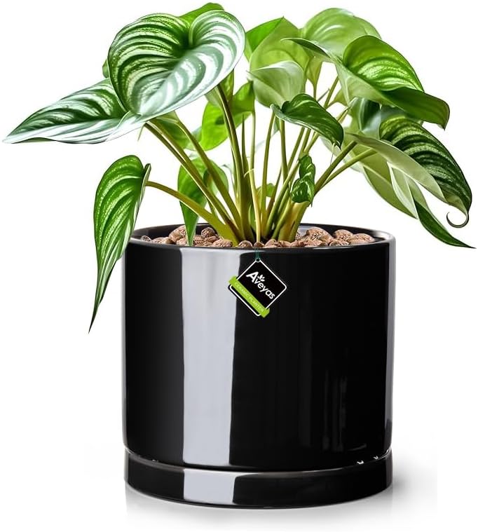 Aveyas 8 inch Ceramic Plant Pot with Drainage Hole and Saucer - Suitable for Indoor and Outdoor