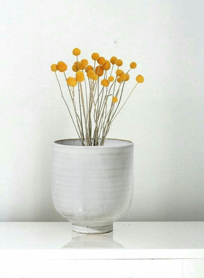 Serene Spaces Living Small Glazed Ceramic Pedestal Bowl, Set of 2- Centerpiece for Vintage