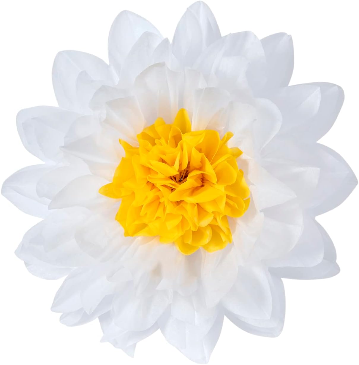 MISU Daisy Flower Party Decorations White Tissue Pom Poms for Classroom Baby Shower Wedding