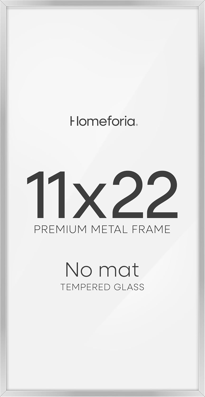 Homeforia 11x22 Newspaper Frame Silver, High End Metal 11 x 22 Picture Frame without Mat, 22x11