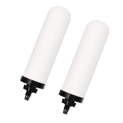 2 PCS 7 inch ceramic water filter Candle,7'' water filter replacement filters with Activated Carbon