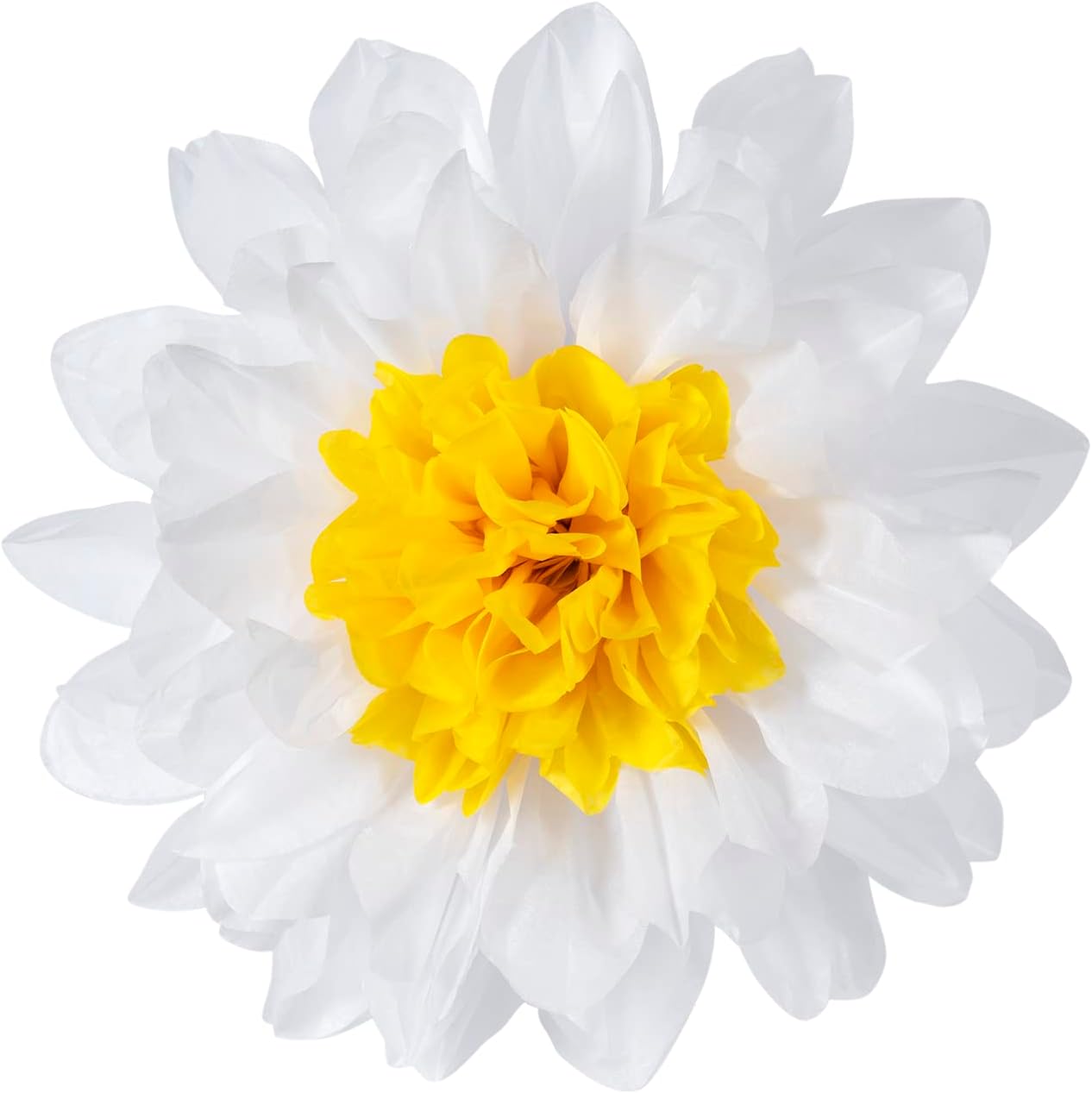 MISU Daisy Flower Party Decorations White Tissue Pom Poms for Classroom Baby Shower Wedding