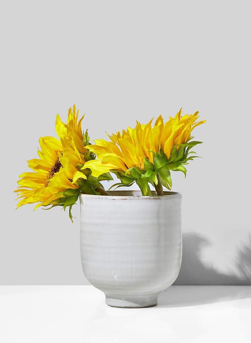 Serene Spaces Living Small Glazed Ceramic Pedestal Bowl, Set of 2- Centerpiece for Vintage