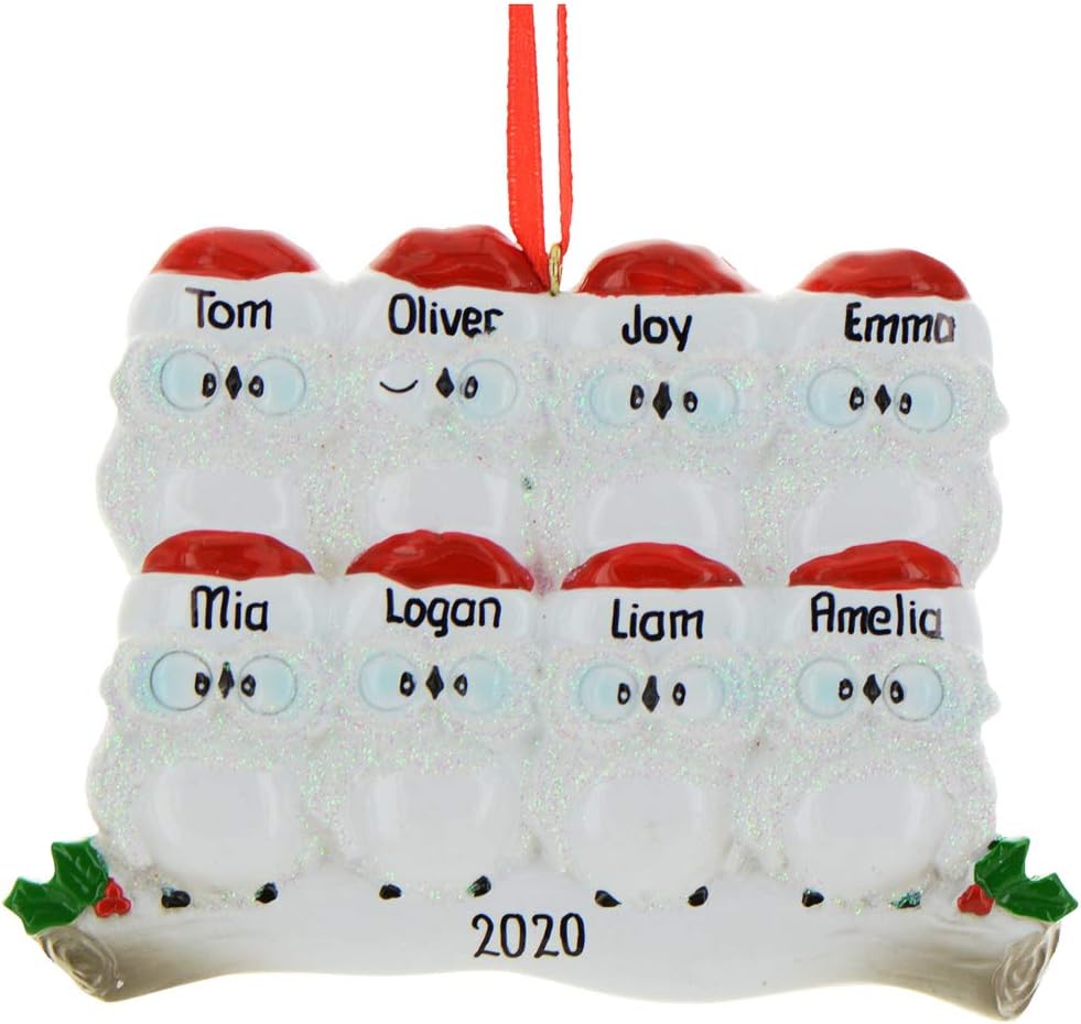 3D Owl Family of 8 Christmas Ornament 2025 Personalized Family Christmas Ornaments 2025 | White