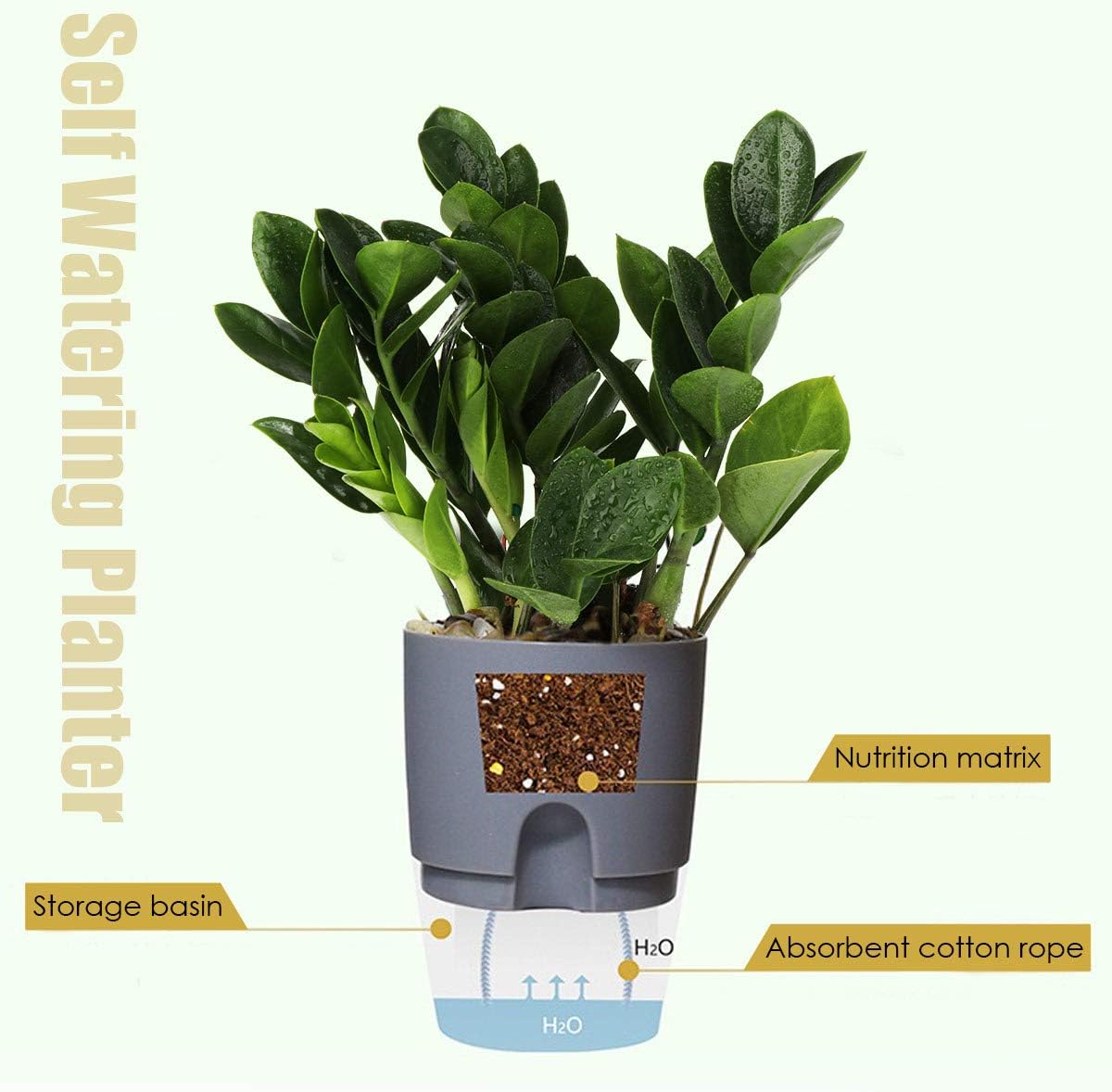 Vanavazon 6 Inch Self Watering Planter Pots for Indoor Plants, 3 Pack African Violet Pots with Wick