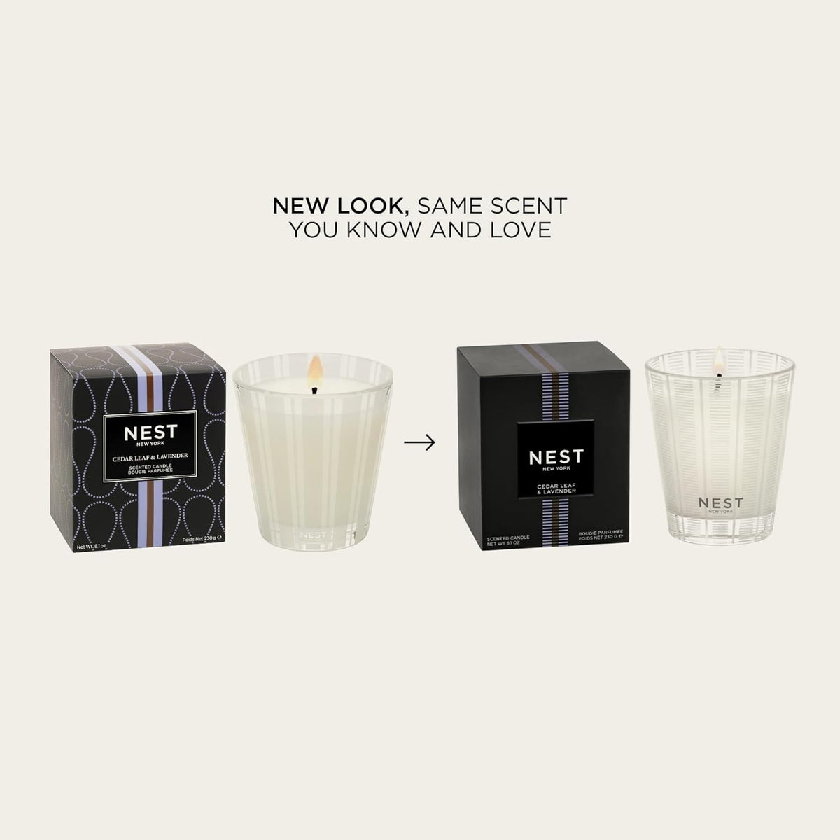 NEST New York Scented Classic Candle, Cedar Leaf & Lavender - 8.1 oz - Up to 60-Hour Burn Time