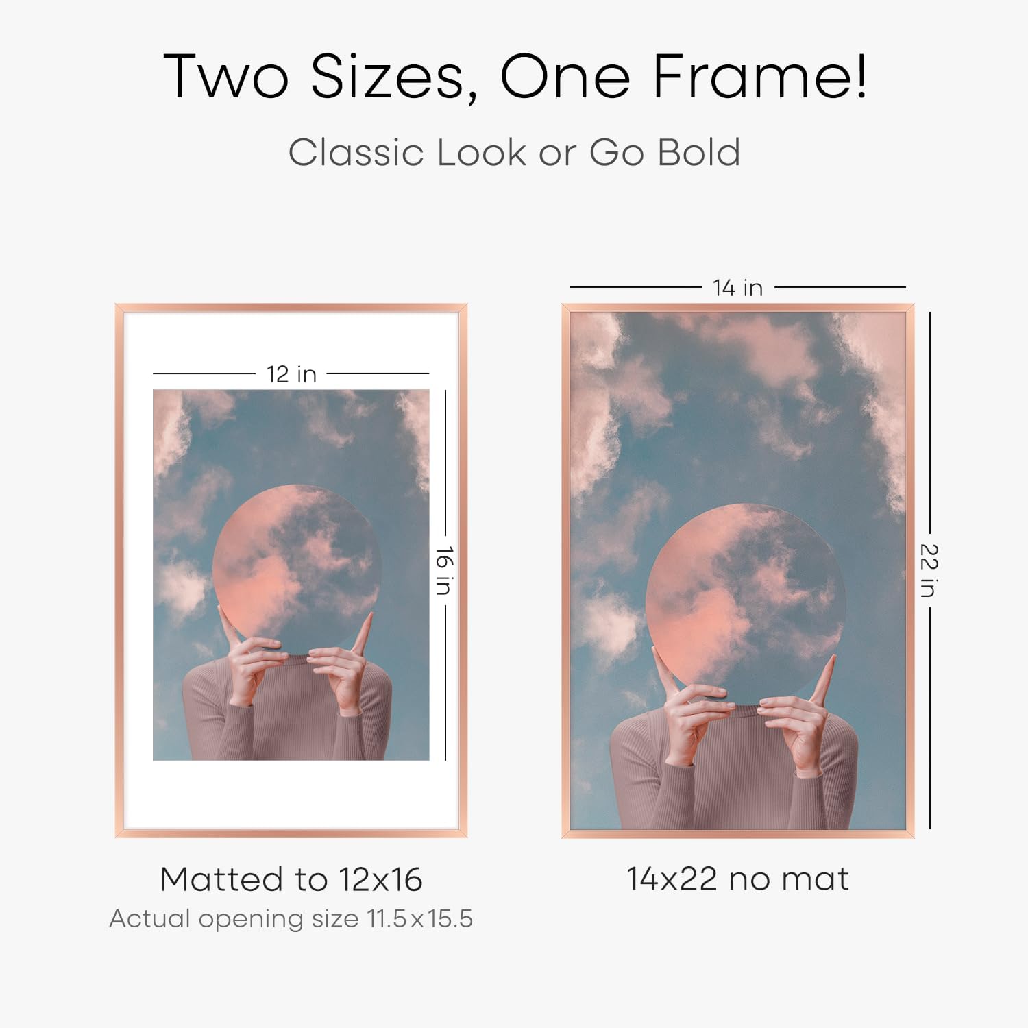 Homeforia 14x22 Picture Frame Rose Gold, High End Metal 14x22 Poster Frames with Mat 12x16 inch
