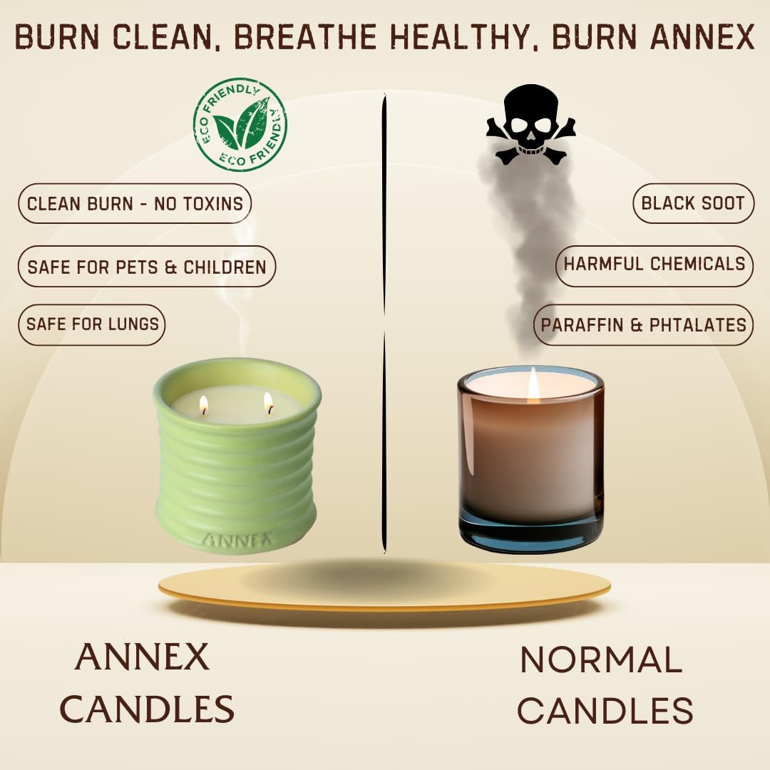 Scented Luxury Candles Outdoor Mosquito Bug Repellent Ceramic Jars, Soy Wax | The Green Life, Large