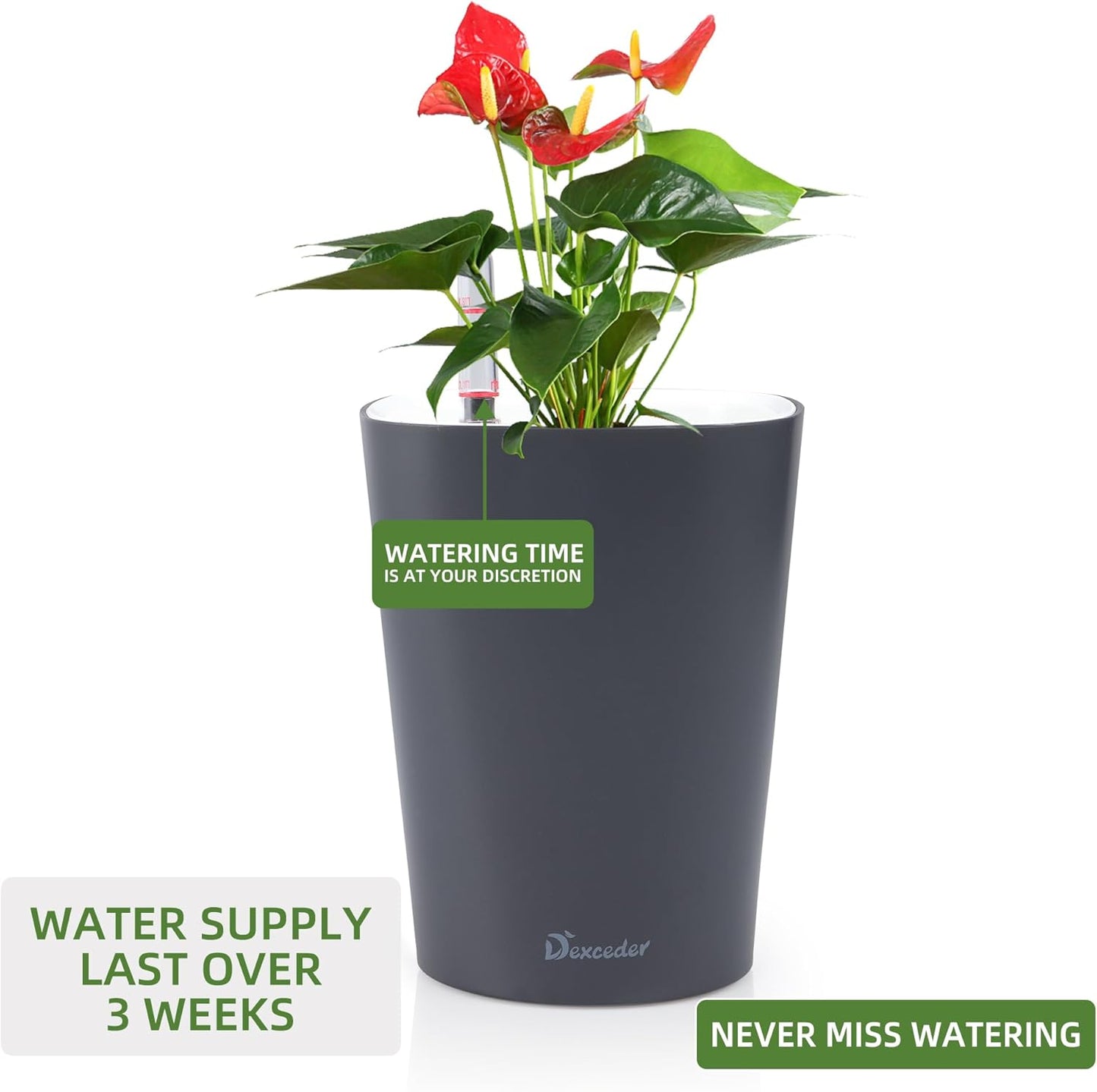 Dexceder 6x7 Self Watering Planter Indoor Outdoor, Matte Table Flower Plant Pot with Water Level
