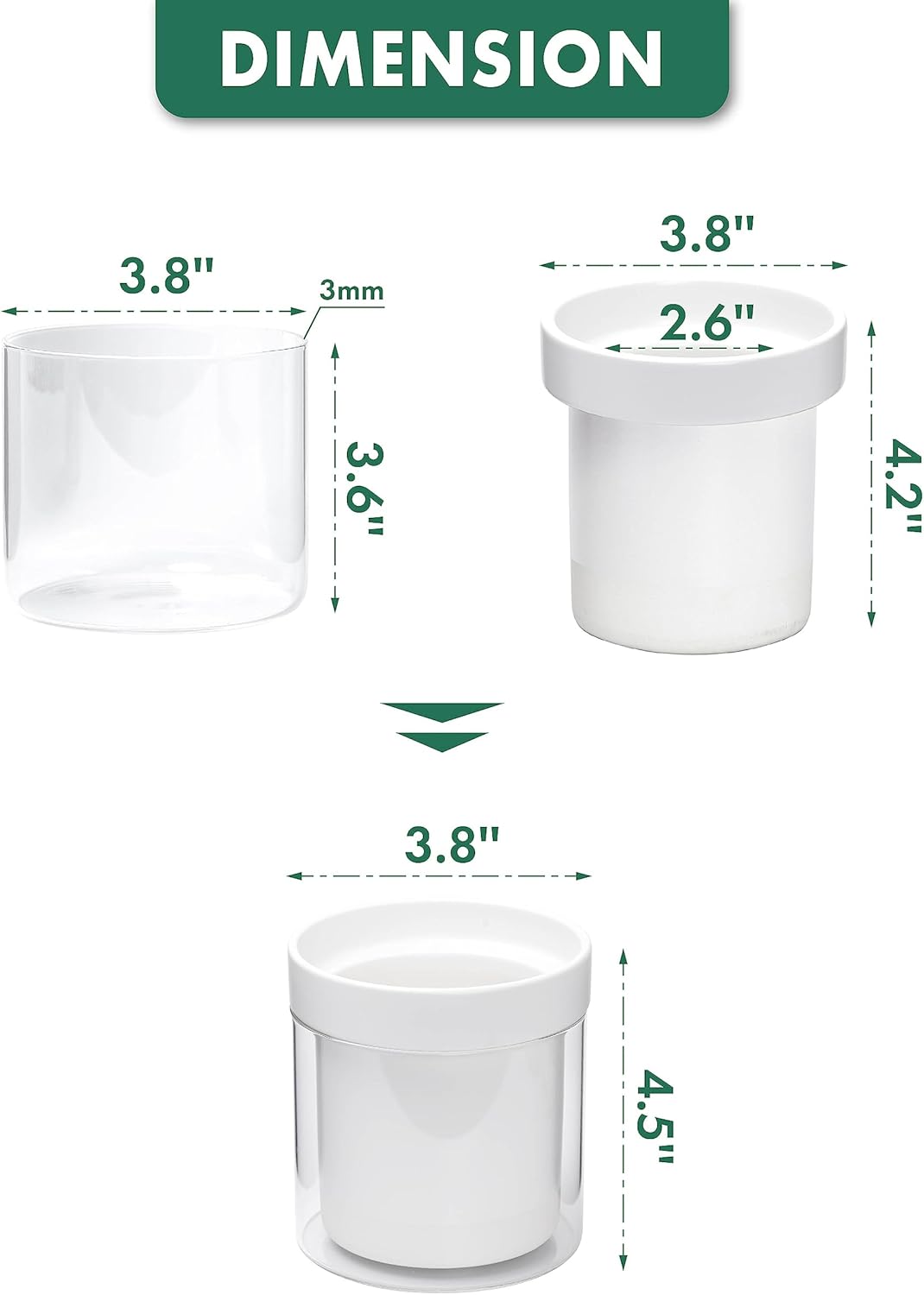 Phoenix Vine 4 Inch Self Watering Planter, White Terracotta Clay Pot with Glass Reservoir for