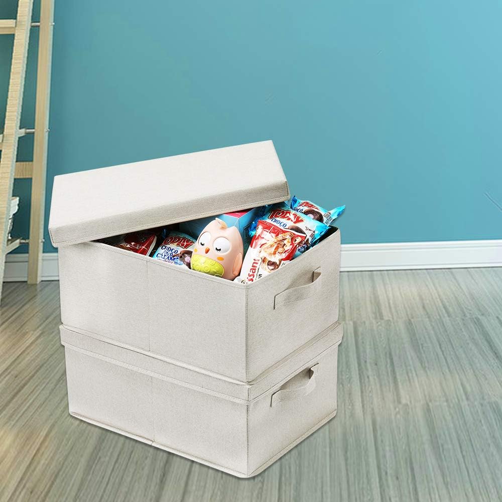 HOONEX Foldable Storage Bins with Lids, 2 Pack, Storage Boxes with Carrying Handles and Sturdy