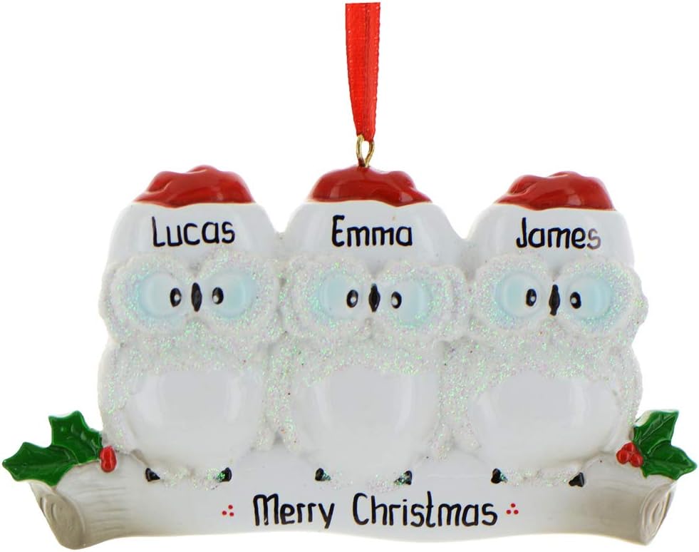 3D Owl Family of 3 Christmas Ornament 2025 Personalized Family Christmas Ornaments 2025 | White
