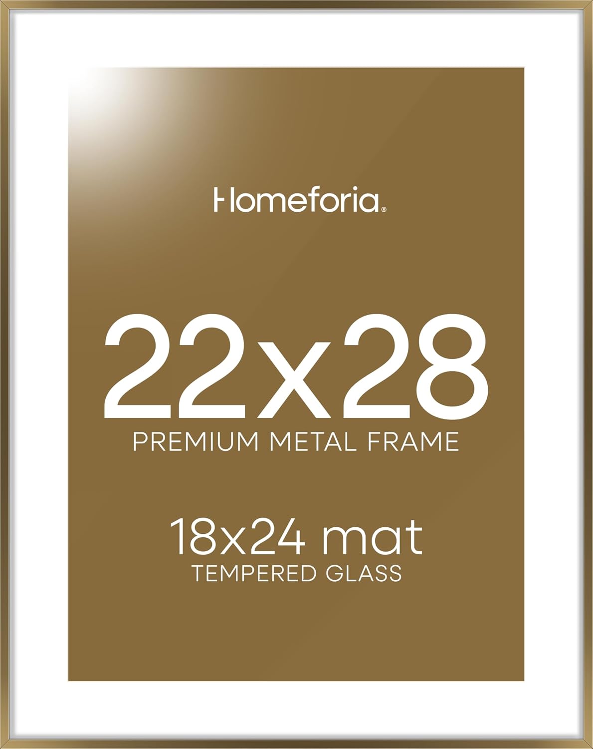 Homeforia 22x28 Picture Frame Bronze, High End Metal 22 x 28 Large Poster Frames with Mat 18 by 24