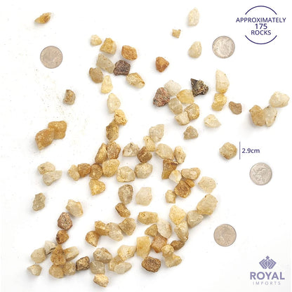Royal Imports 5LBS River Pebbles Decorative Ornamental Rocks, Garden Landscaping Stones, Gravel