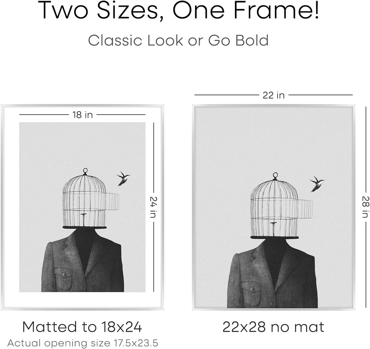 Homeforia Silver 22x28 Picture Frame, Rectangular Metal Poster Frame with Mat, 22 x 28 Frame Matted