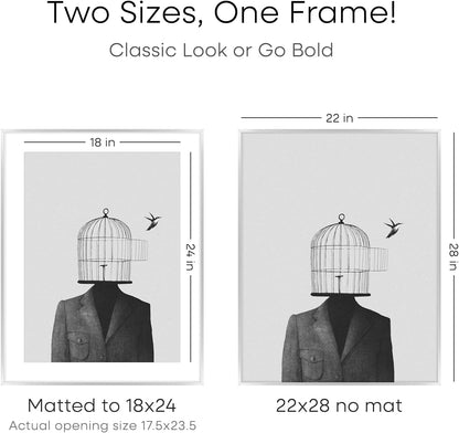 Homeforia Silver 22x28 Picture Frame, Rectangular Metal Poster Frame with Mat, 22 x 28 Frame Matted