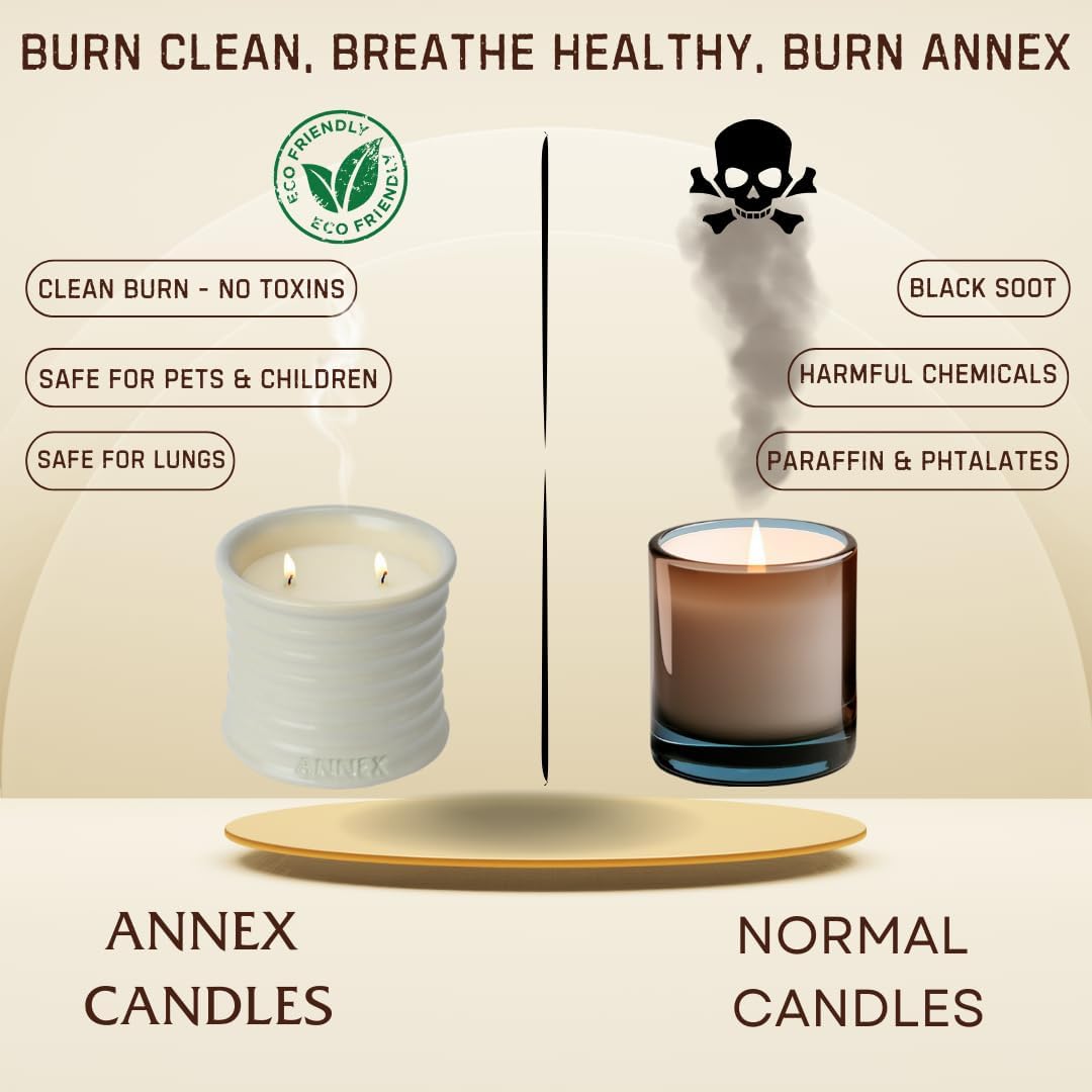 Scented Luxury Citronella Candles outdoor, Mosquito Bug Repellent | Handmade Ceramic Jars, Soy Wax