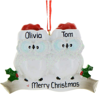 3D Personalized Our First Christmas Ornament 2025 | Custom Owl Couple Ornaments Winter White Owls